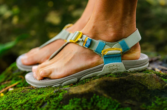 Dames Switchback Sandal Knit - Ivy