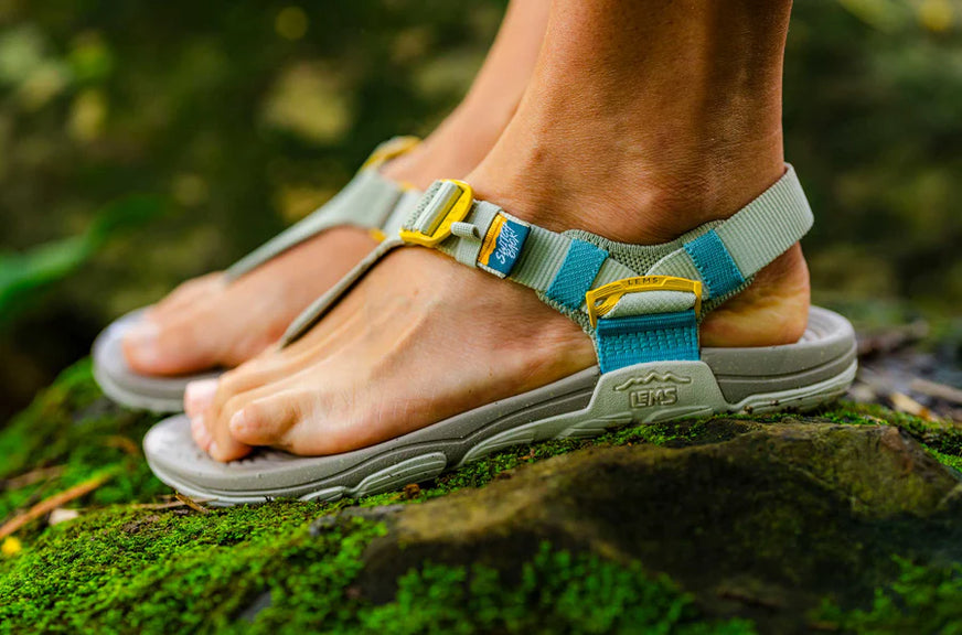 Dames Switchback Sandal Knit - Ivy